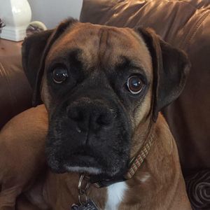 Meet your Posher, Lori